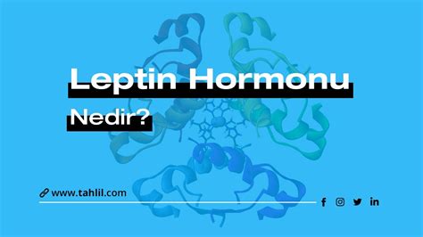 Leptin hormonu iğnesi